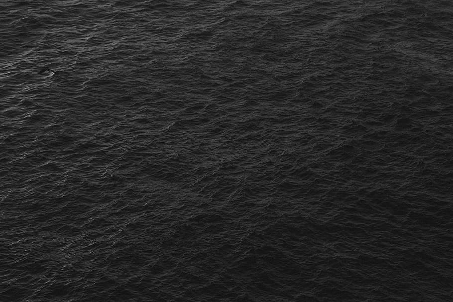 ocean water, nature, outdoors, sea, texture, oil spill, animal HD wallpaper