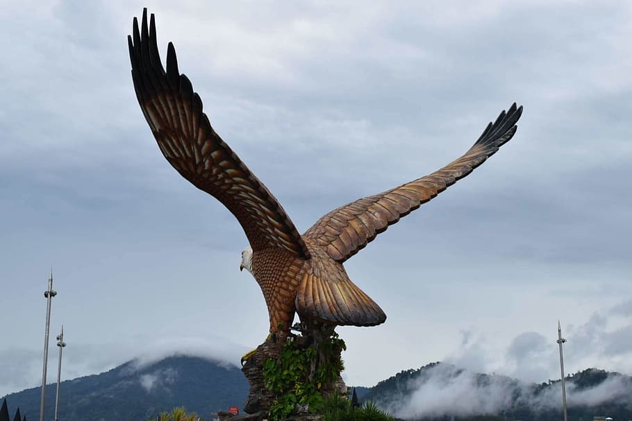 eagle, statue, bird, spread wings, flying, animal themes, cloud - sky HD wallpaper