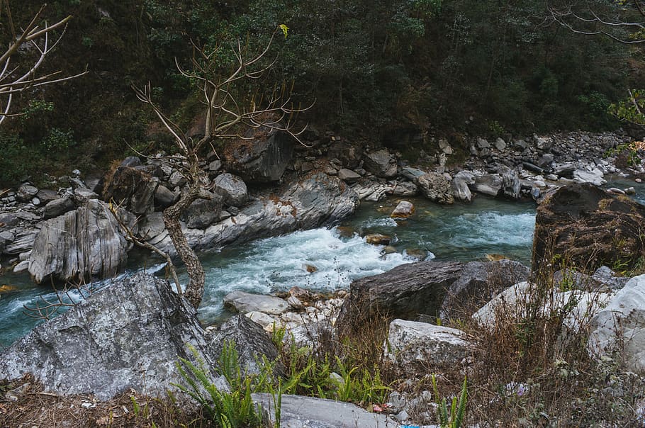 nepal, ghode pani, mountain, hill, ghorepani, trees, asia, east asia HD wallpaper
