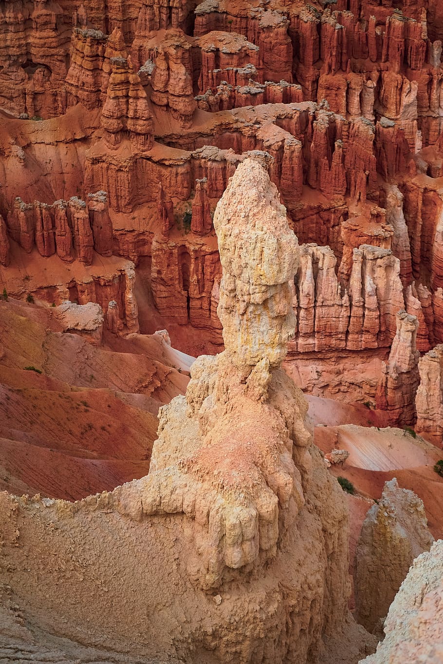 Brown Canyon, arid, bird's eye view, cliffs, daylight, desert HD wallpaper