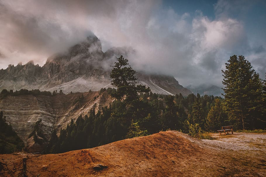 Green Leafed Trees With Mountain View, adventure, bench, clouds HD wallpaper