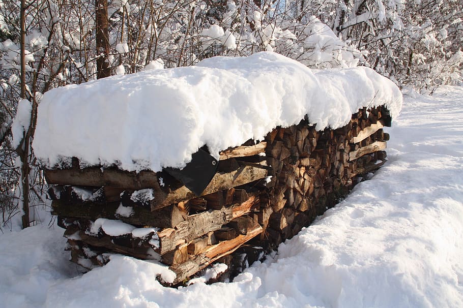 winter, snow, firewood, forest, trees, snow landscape, alpine HD wallpaper
