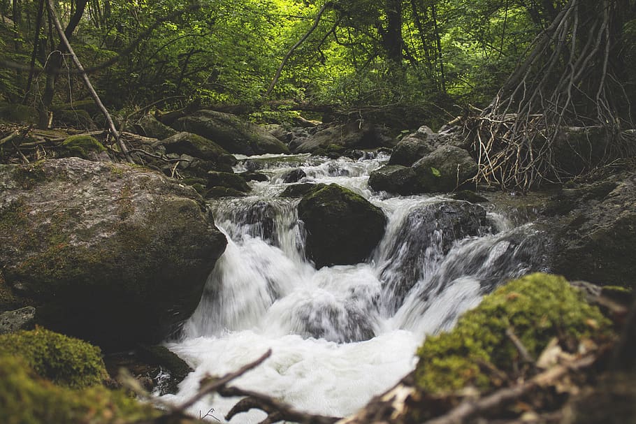 river, nature, landscape, forest, water, tree, beauty in nature HD wallpaper