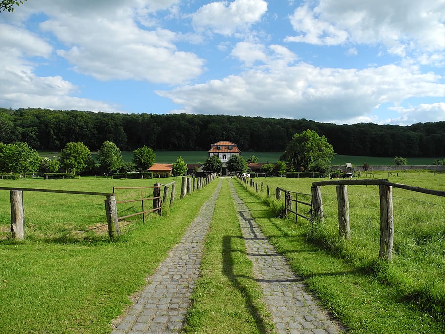 germany, nature, fields, cows, land, farmer, green, country HD wallpaper