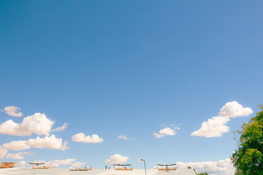 tree under cloudy sky, cloud - sky, blue, copy space, day, nature HD wallpaper