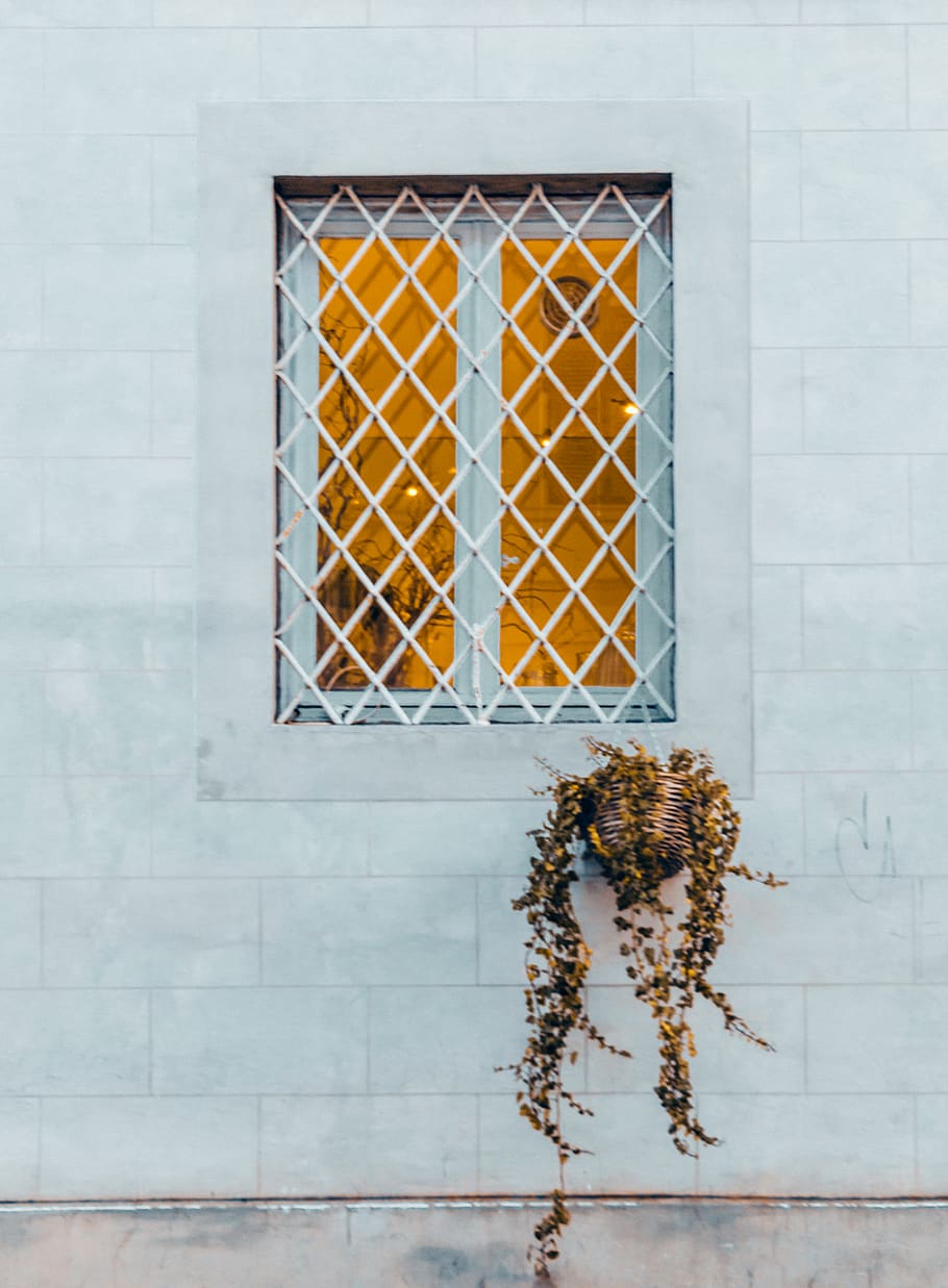 window, windows, wall, house, palace, mininal, white, minimalism HD wallpaper