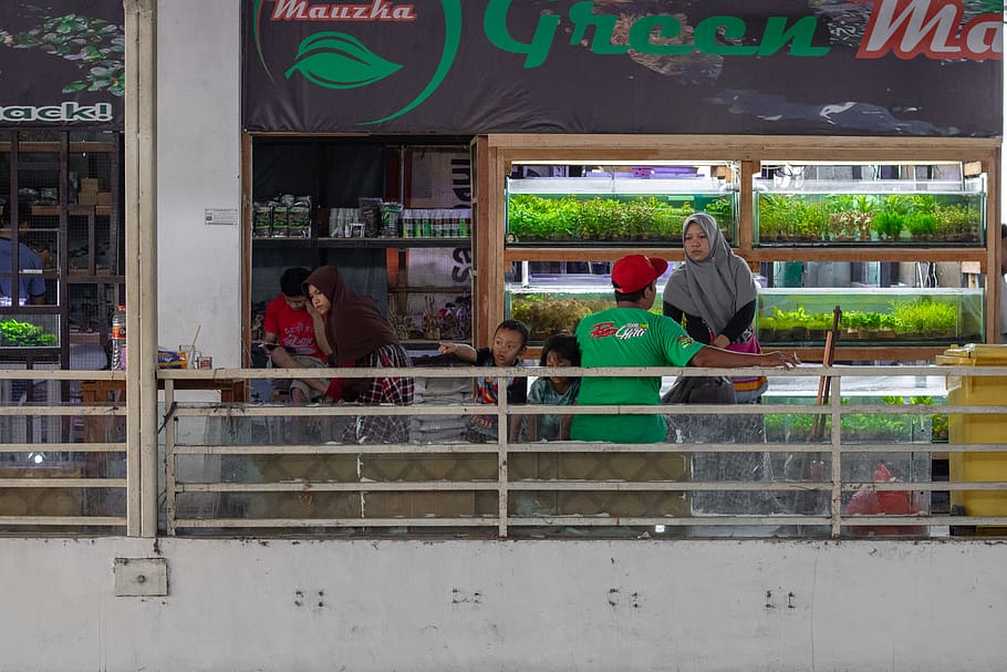 human, person, indonesia, surabaya, restaurant, pasar ikan hias gunung sari