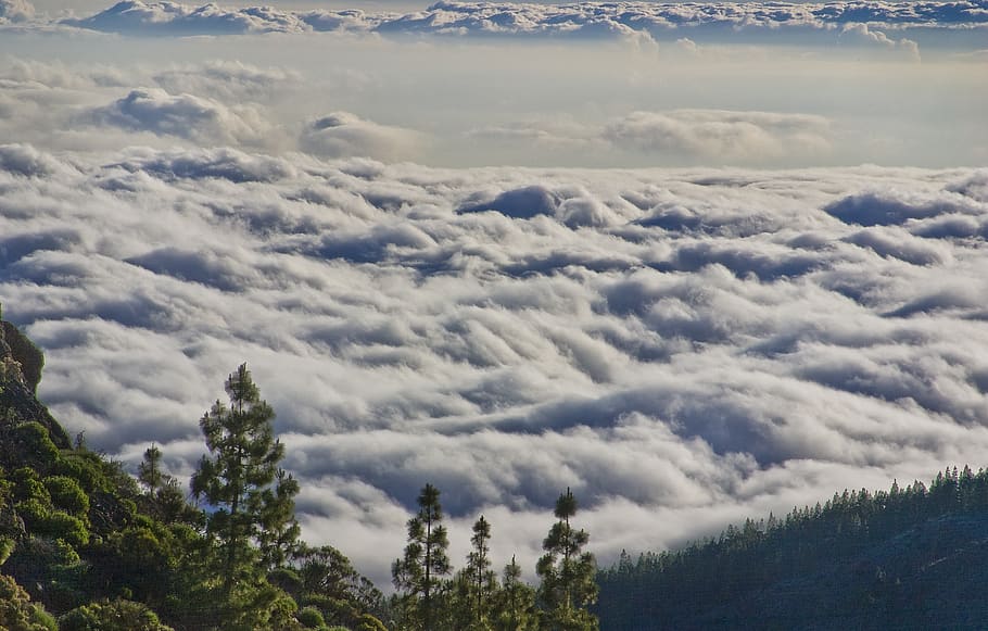 View of Clouds at a Mountain Top, atmosphere, cloudscape, dawn HD wallpaper