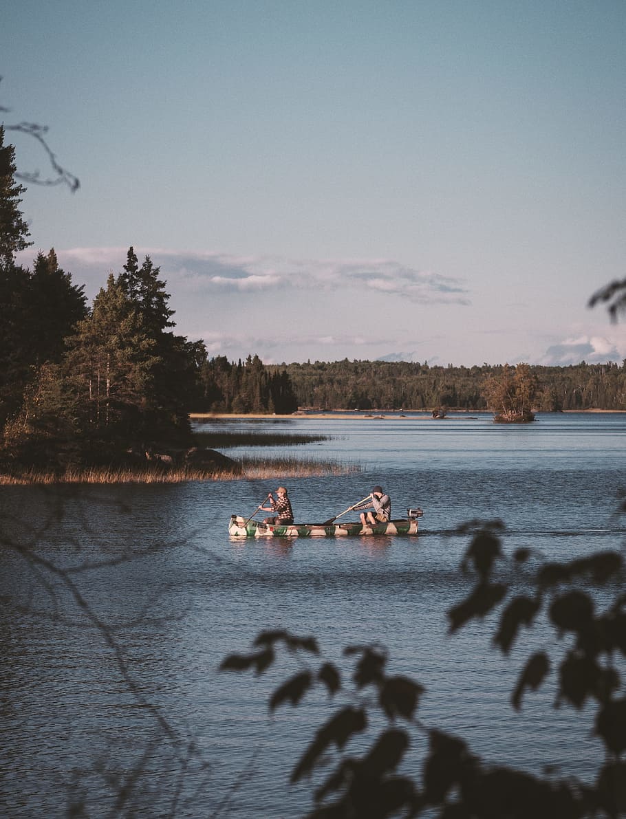 two men rowing boats in lake, outdoor, water, canoe, tree, forest HD wallpaper
