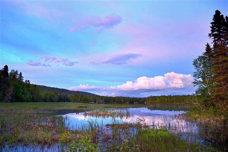 Trees Near Lake Under Blue Sky, clouds, daylight, environment HD wallpaper