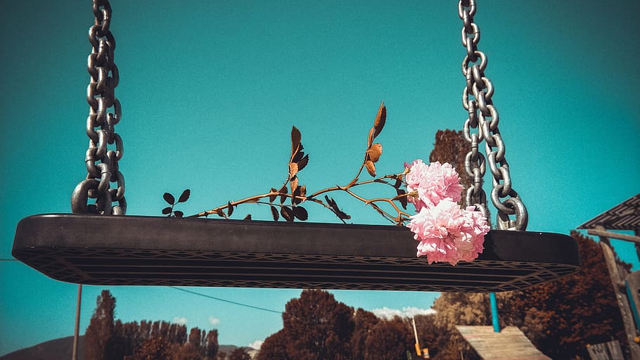 albania, pogradec, flowering plant, chain, nature, no people HD wallpaper