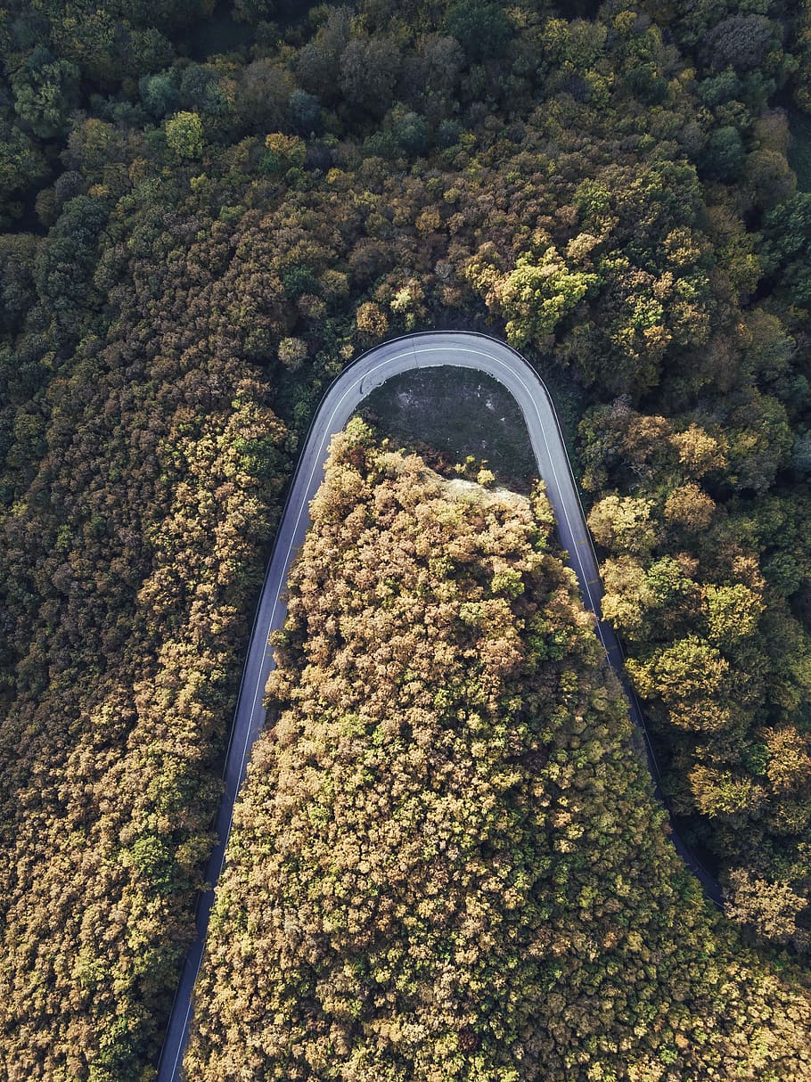 birds eye view road, outdoors, landscape, nature, scenery, vegetation HD wallpaper