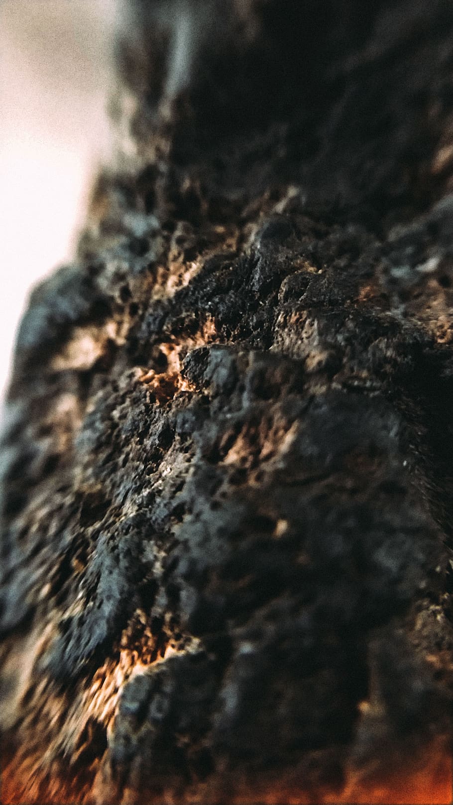 india, mumbai, mobileclick, micro, water, rain, tree, selective focus HD wallpaper