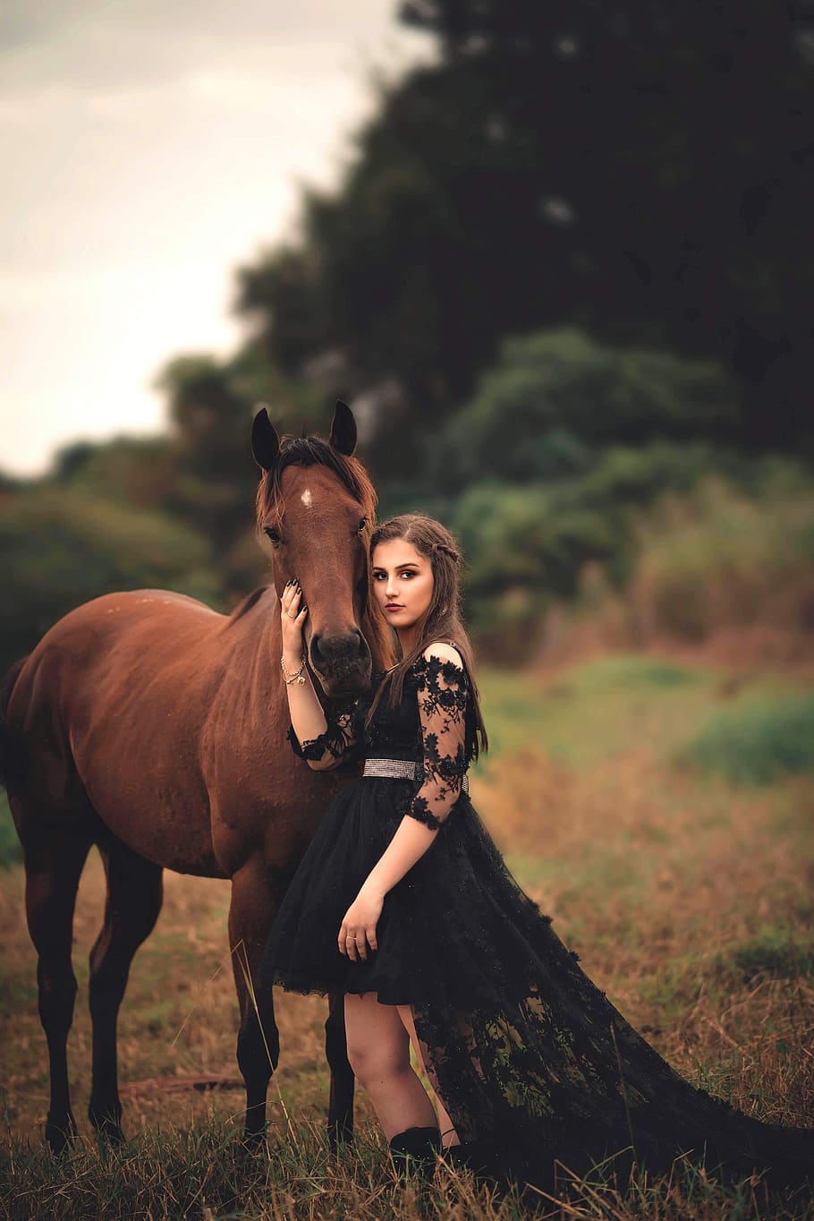 Photo of Woman Wearing Black Dress Beside Horse, adult, animal, HD wallpaper
