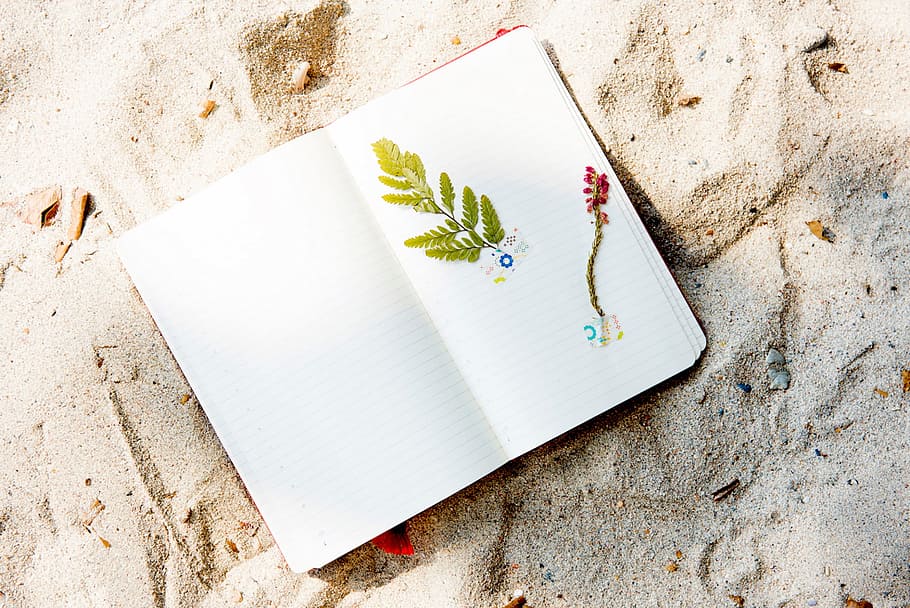 sand, beach, plants, notebook, arts, crafts, paper, high angle view HD wallpaper