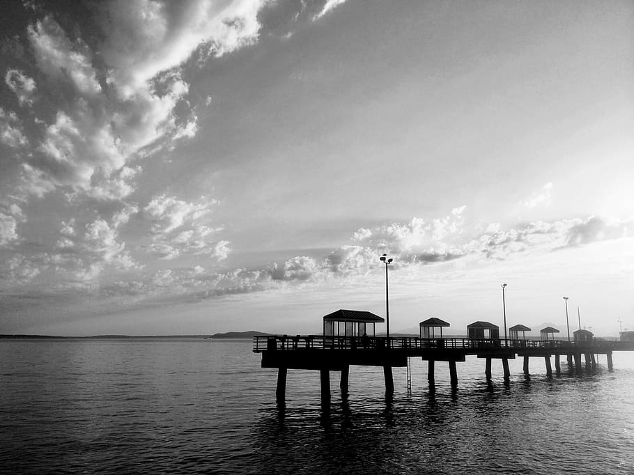 water, waterfront, pier, dock, port, nature, black and white HD wallpaper