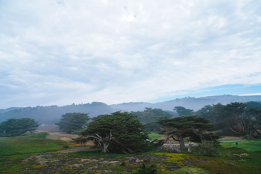 united states, pacifica, mori point, park, hills, trees, landscape, HD wallpaper