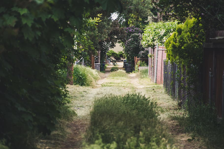 Green Grass Field Pathway, architecture, daylight, environment HD wallpaper