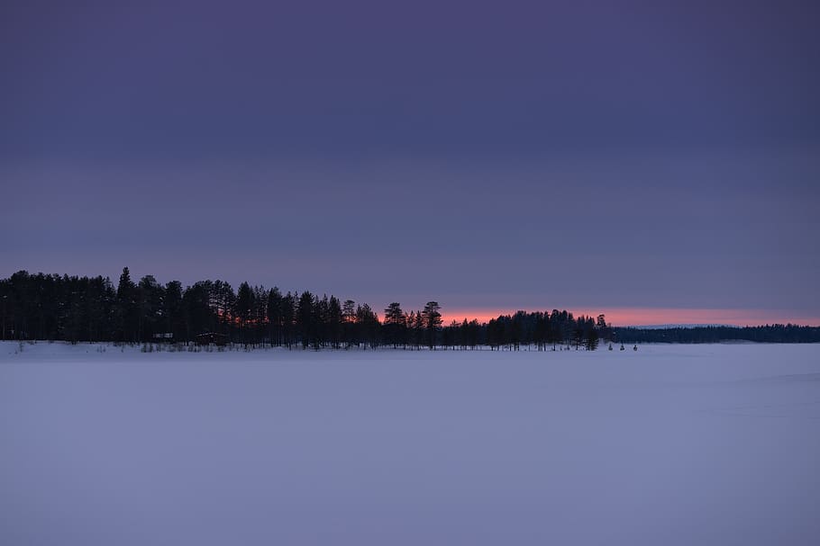 minimal, sunset, color line, tree line, trees, finland, travel HD wallpaper