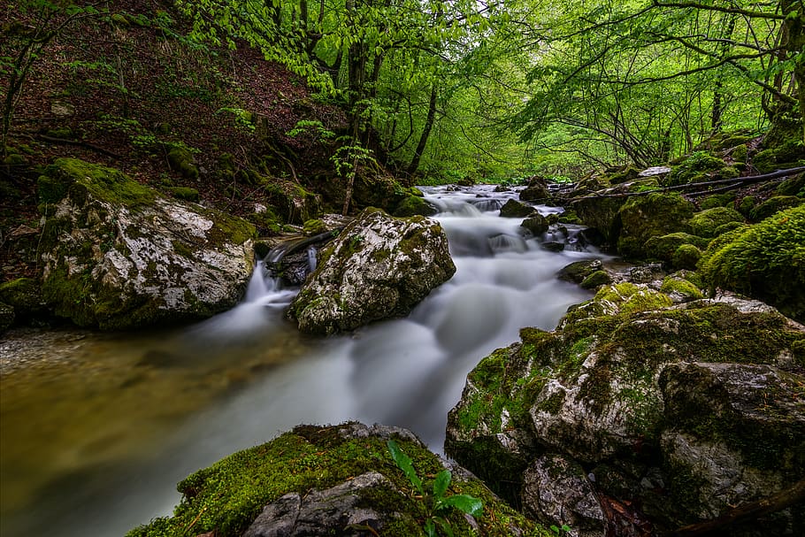 Moss Covered Rocks Beside River, creek, environment, nature, rapids HD wallpaper