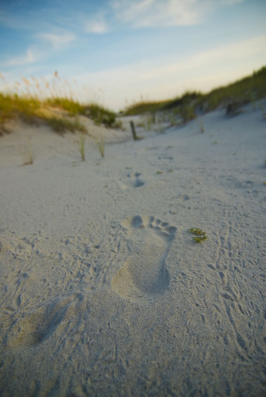 united states, wrightsville beach, sand, print, footprints