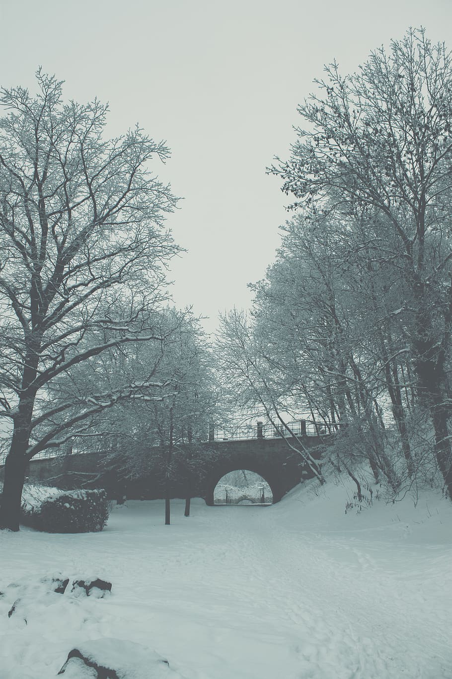 germany, gotha, cool, snow, winter, zing, white, trees, cold HD wallpaper
