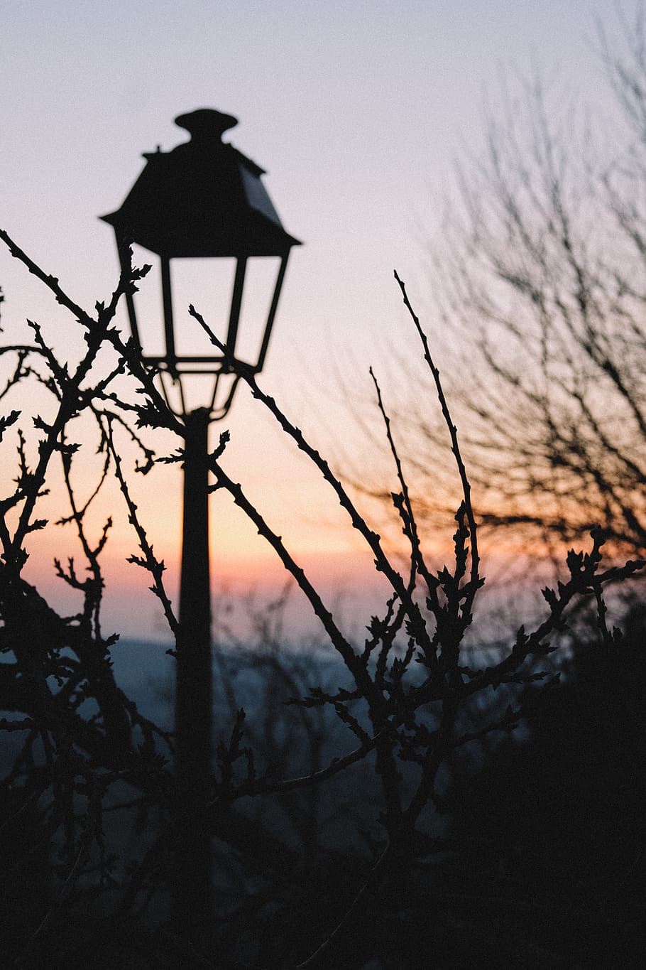 black post lamp surrounded by trees, silhouette, sunset, sky HD wallpaper