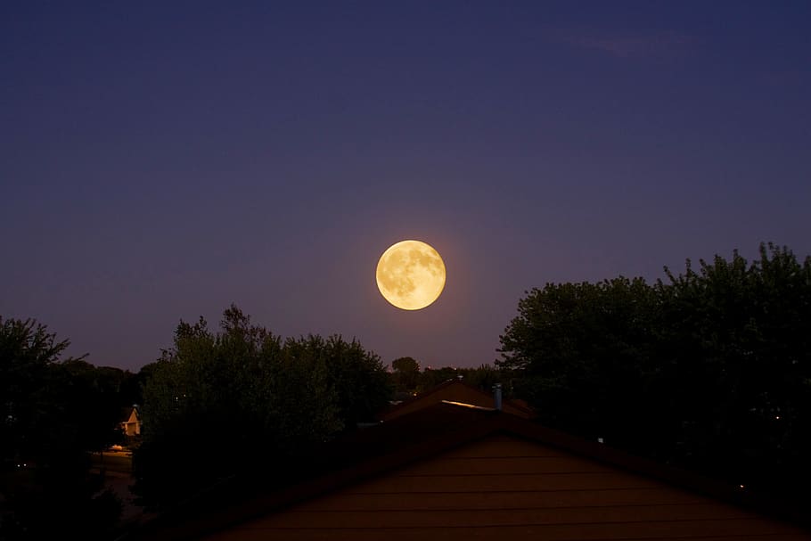 moon, night, dark, moonlight, sky, landscape, silhouette, dream HD wallpaper