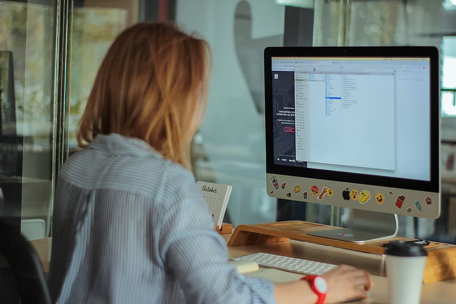 Woman Using Computer in Office, brunette, computer keyboard, device HD wallpaper