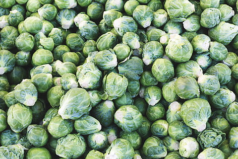 Brussel Sprouts Pile Photo, Food, Vegetables, green color, healthy eating HD wallpaper