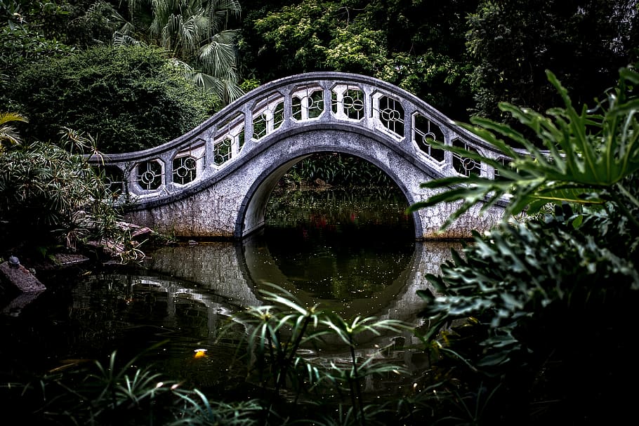 white bridge surrounded by trees, water, plant, bridge - man made structure HD wallpaper