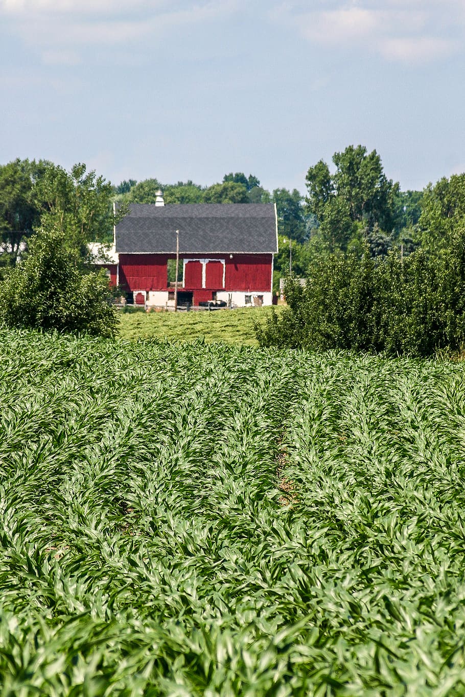 united states, comstock park, alpine church road northwest, HD wallpaper