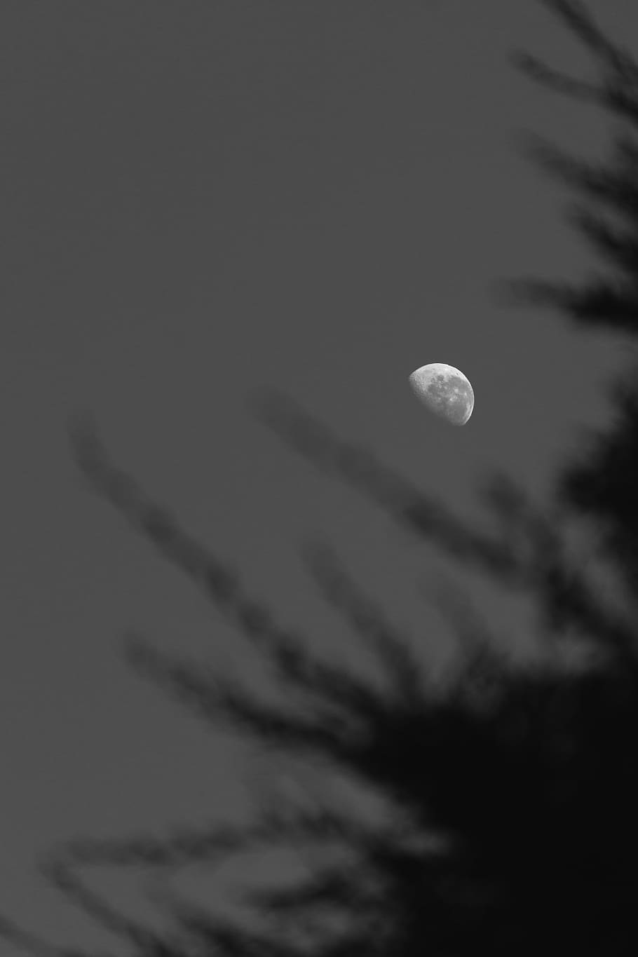nature, outdoors, moon, space, astronomy, universe, night, outer space HD wallpaper