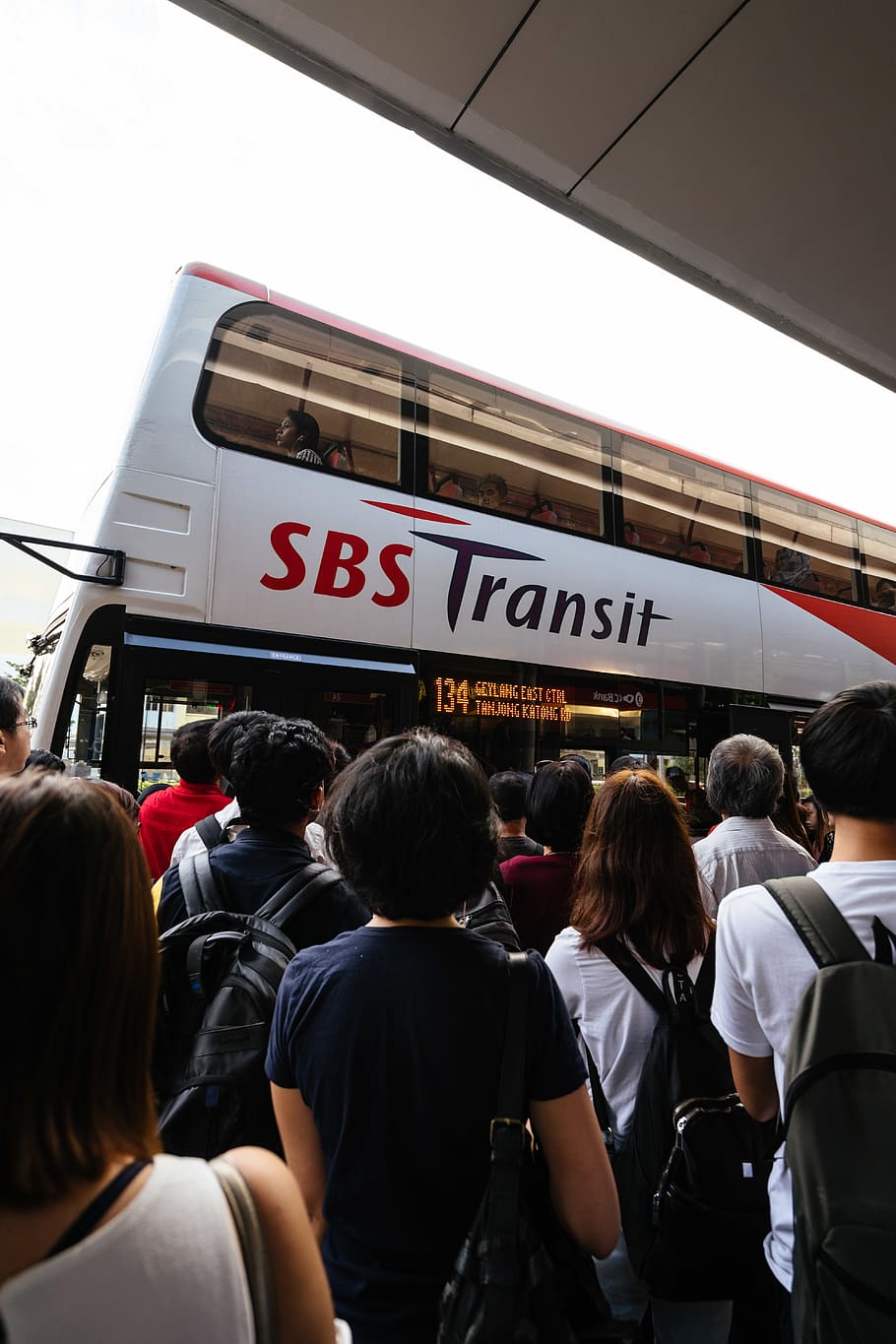 singapore, bus, sbs, que, transportation, dailylife, commute HD wallpaper