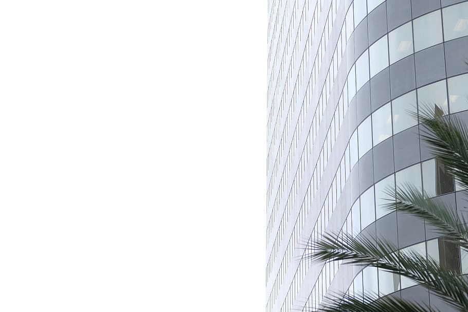 high rise building, office building, architecture, urban, city HD wallpaper