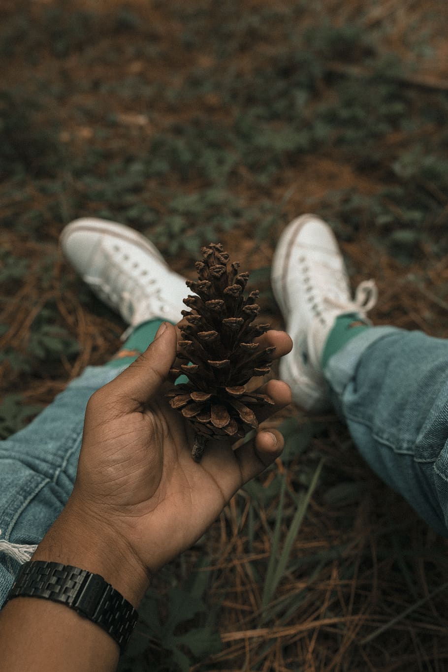 person holding pine cone, apparel, clothing, shoe, footwear, human HD wallpaper