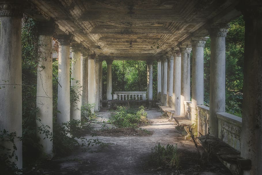 abandoned pillared building surrounded with trees, porch, patio HD wallpaper