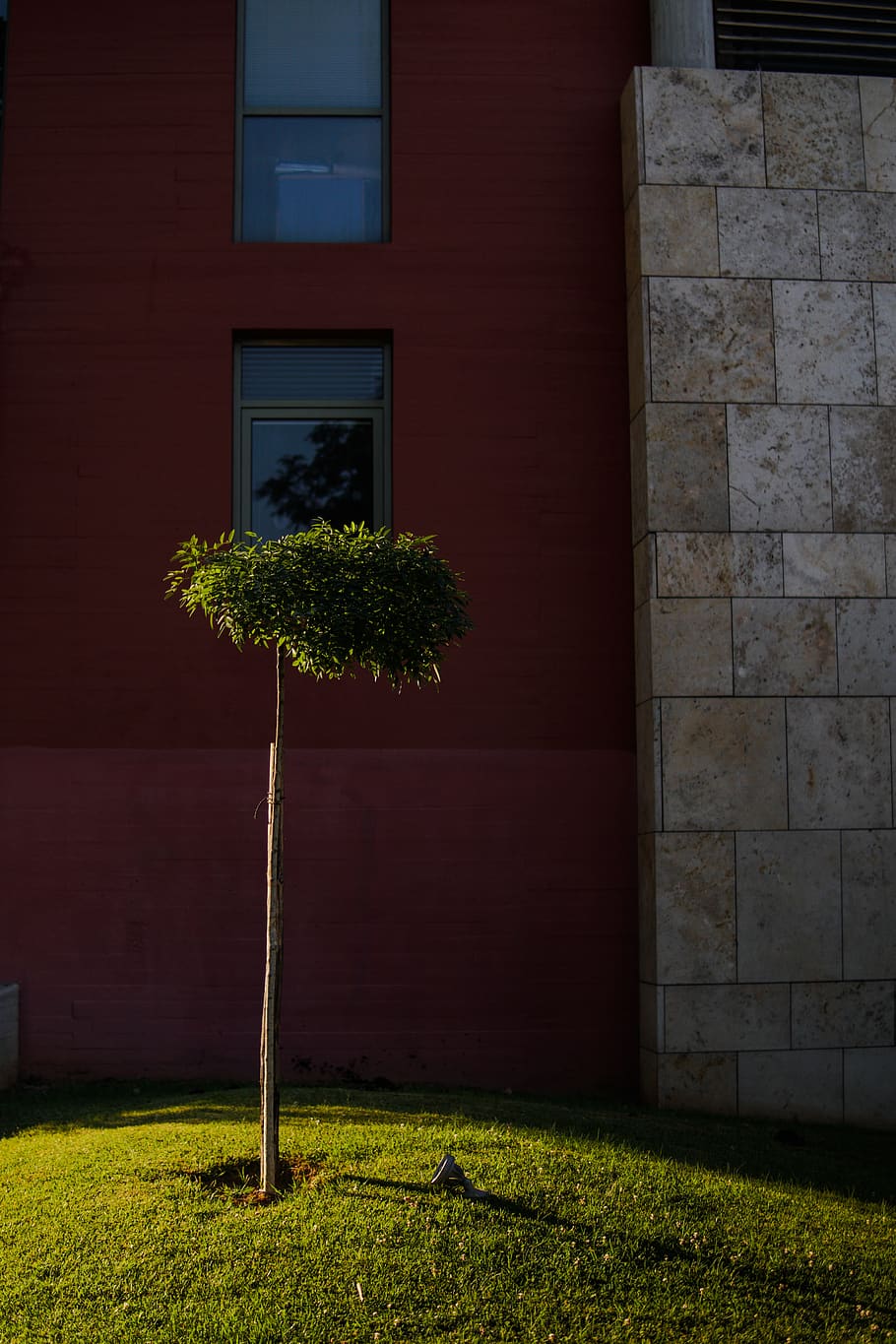 greece, thessaloniki, red, backlight, small tree, building, HD wallpaper