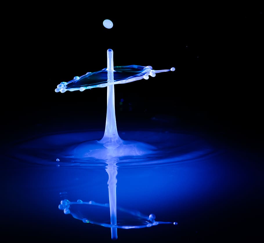 Selective Focus Photography of Drop of Water Photo, action, dark HD wallpaper