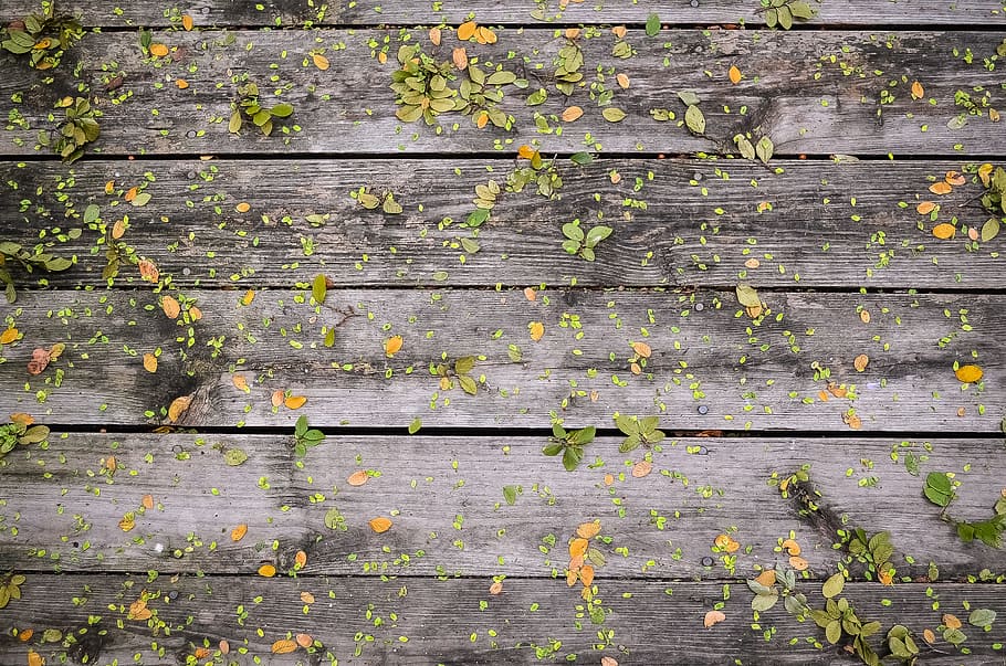 autumn, gray, green, leaves, planks, wood, yellow, full frame HD wallpaper