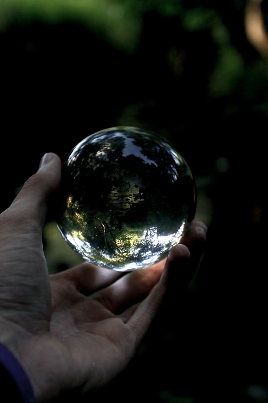 trees, ball, magic, hand, distorted, reflection, refraction HD wallpaper