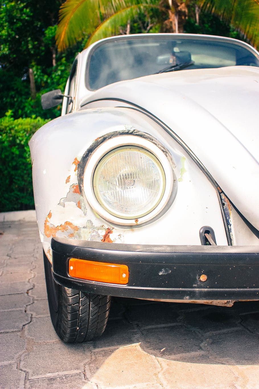 mexico, beetle, car, headlight, volkswagen, vintage, tire, bumper HD wallpaper