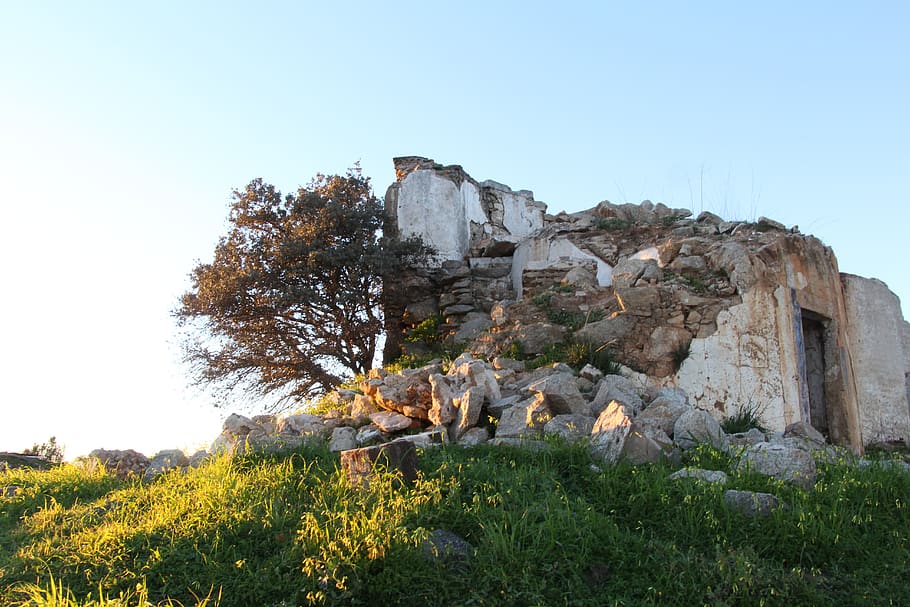 portugal, évora, plant, sky, clear sky, tree, land, nature HD wallpaper