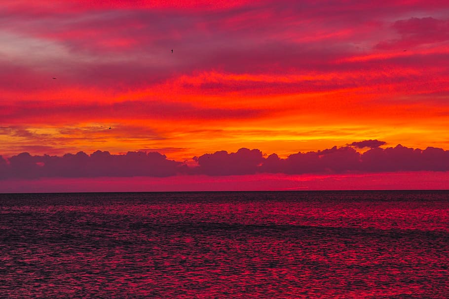 cumulus clouds, sky, sunset, nature, sea, ocean, united states HD wallpaper