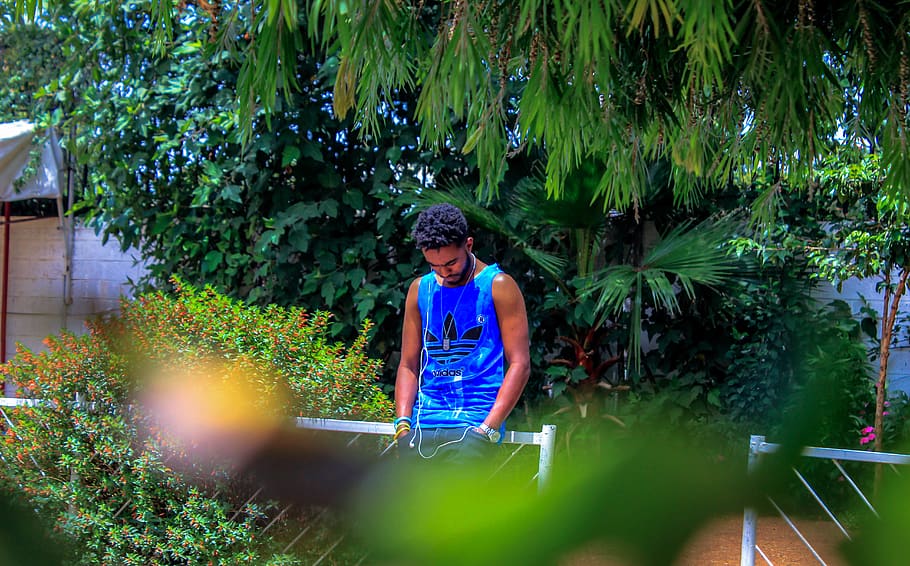 ethiopia, addis ababa, plant, one person, tree, leisure activity HD wallpaper