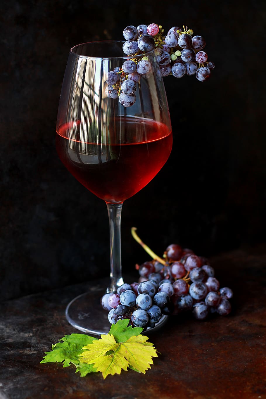 food and drink, alcohol, glass, freshness, flower, wineglass HD wallpaper