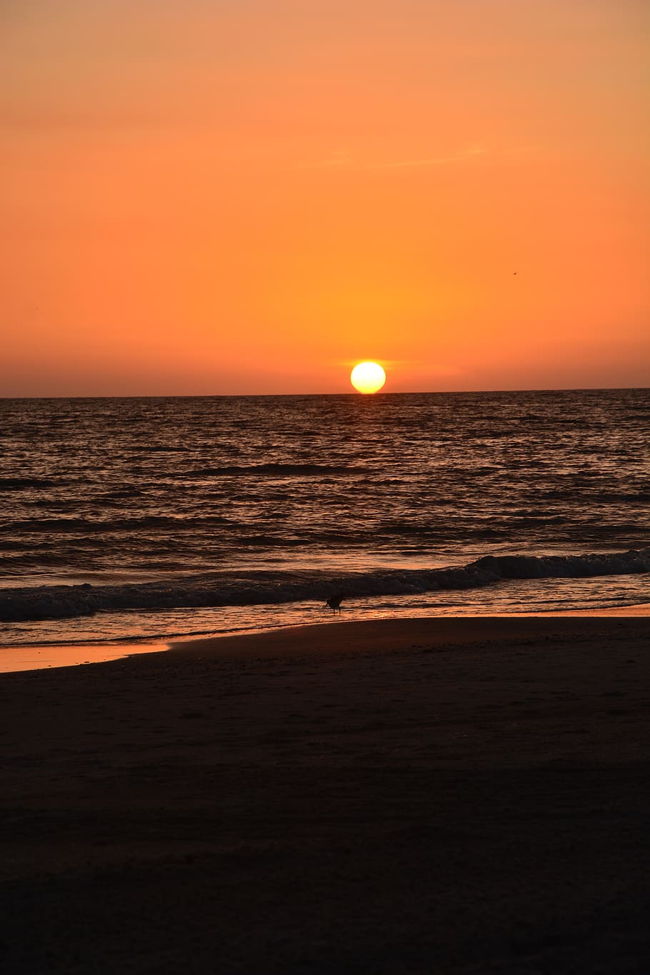 sunset, beach, florida, horizon, seascape, sky, beauty in nature, HD wallpaper