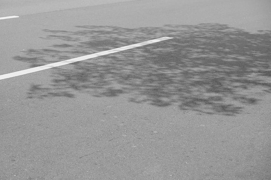 Asphalt Road, daylight, empty road, markings, road marking, shadow HD wallpaper