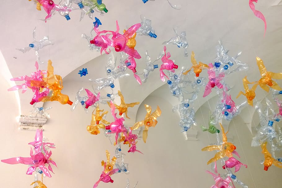 paper, confetti, plant, plastic, tree, bang, crack, explosion HD wallpaper