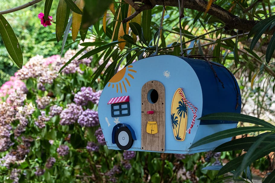 blue and multicolored wooden bird house, plant, animal, birdhouse, HD wallpaper